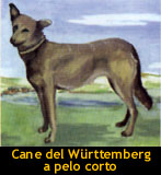 cane del wurttemberg
