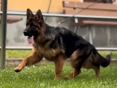 Ria di casa Beggiato