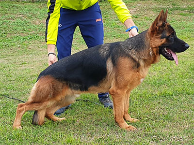 WASKO   DI CASA BEGGIATO